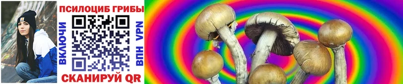 маркетплейс формула  Киренск  Галлюциногенные грибы Magic Shrooms  хочу  